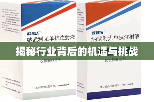 温州揭秘行业背后的机遇与挑战