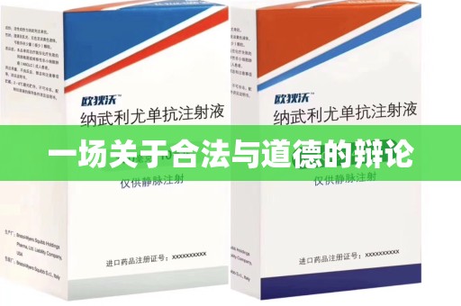 温州一场关于合法与道德的辩论