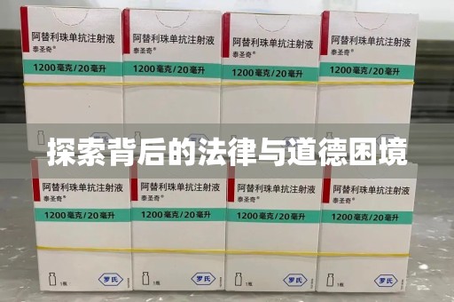 温州探索背后的法律与道德困境