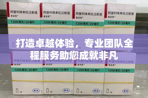 温州打造卓越体验，专业团队全程服务助您成就非凡