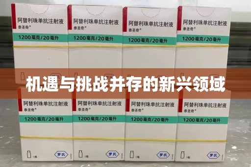 温州机遇与挑战并存的新兴领域